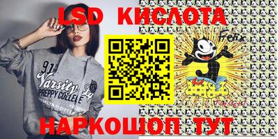 крисы Берёзовский