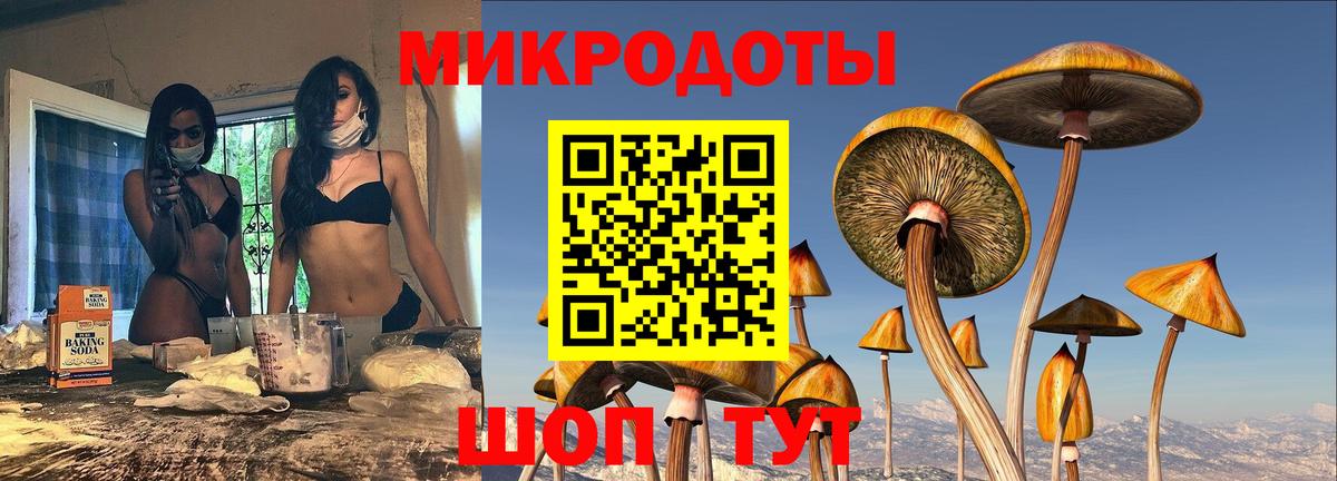 Псилоцибиновые грибы прущие грибы Кисловодск