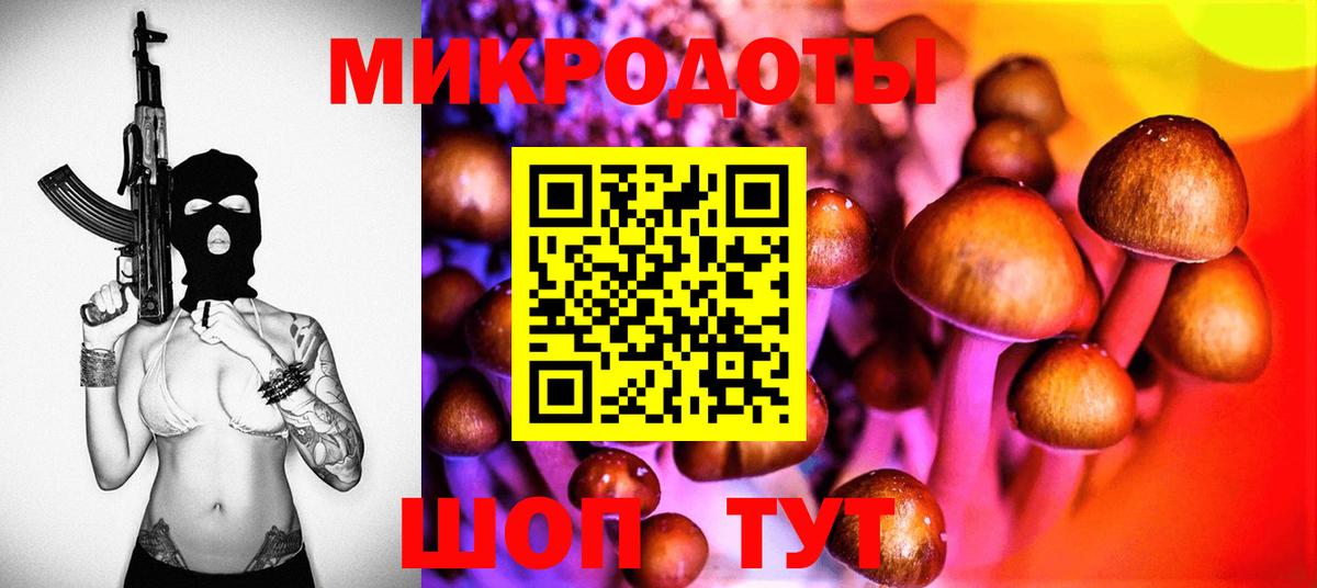 Галлюциногенные грибы MAGIC MUSHROOMS  Вход с VPN  Кисловодск 